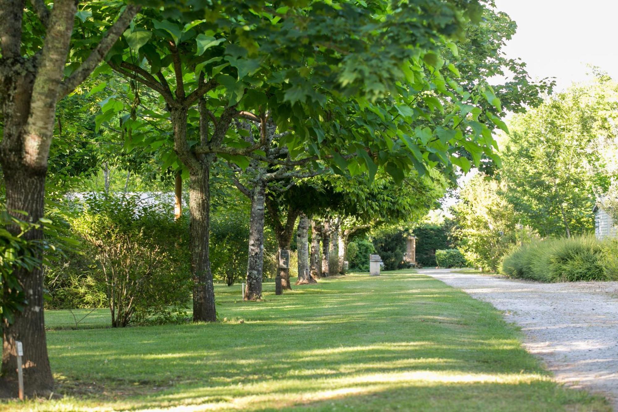 Camping La Ferme De Perdigat Limeuil Esterno foto