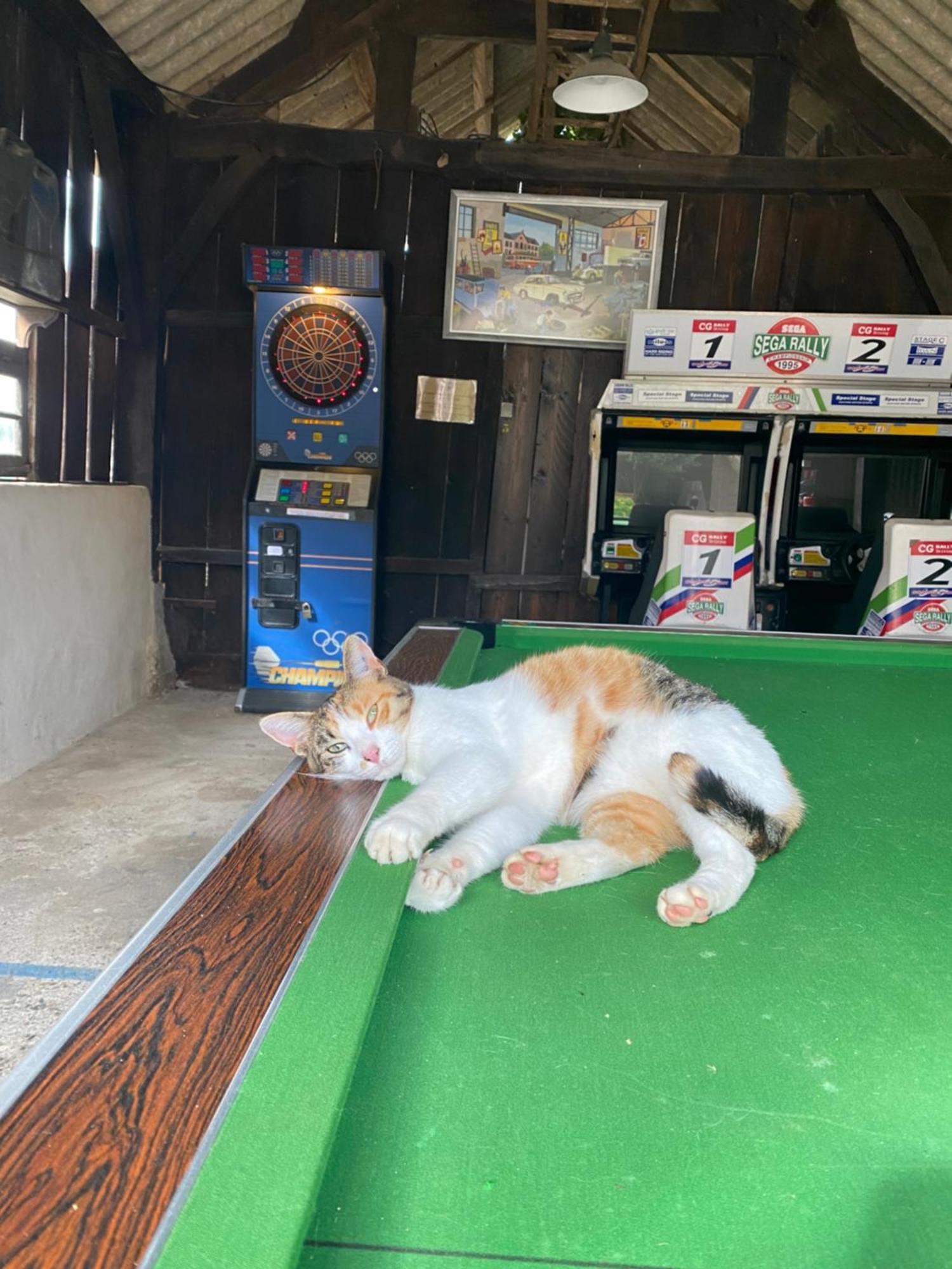 Camping La Ferme De Perdigat Limeuil Esterno foto