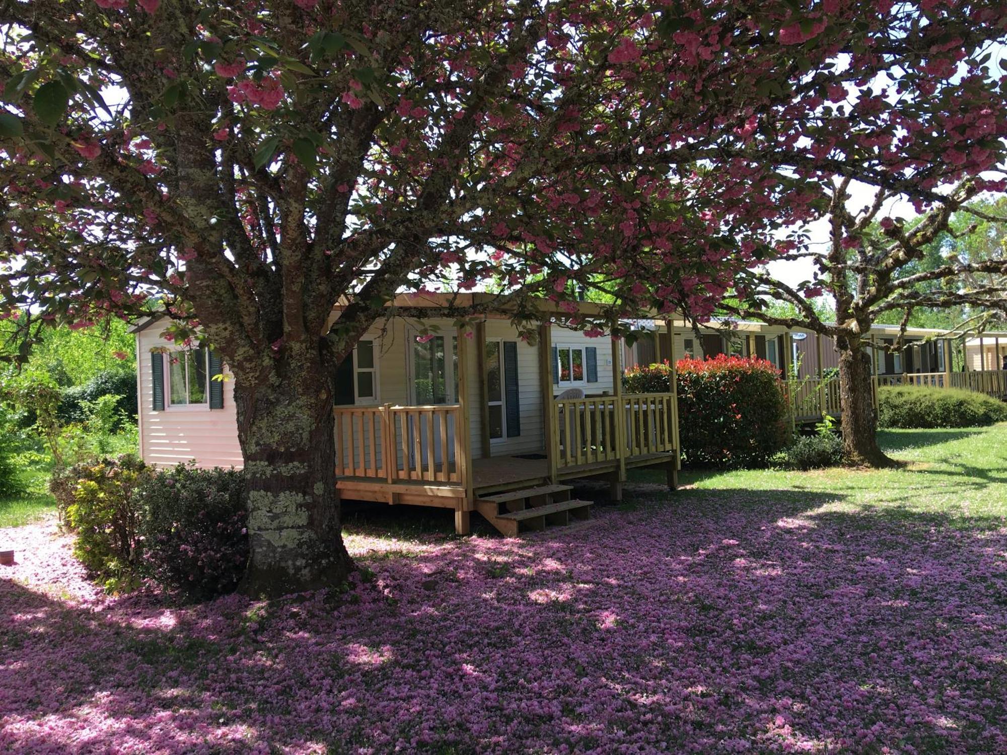 Camping La Ferme De Perdigat Limeuil Esterno foto
