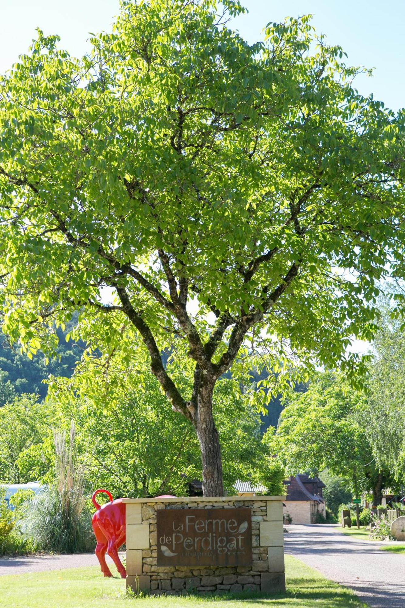 Camping La Ferme De Perdigat Limeuil Esterno foto